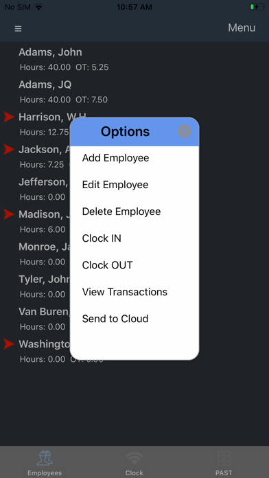 TimePilot Extreme Blue II iPhone screenshot 2 - Business app