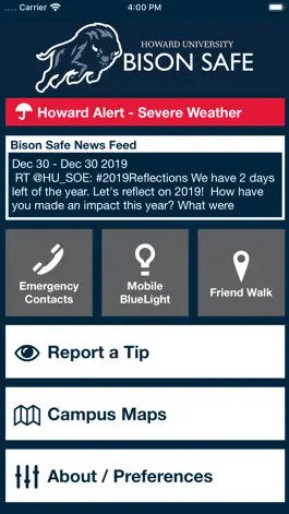 Game screenshot Bison Safe mod apk