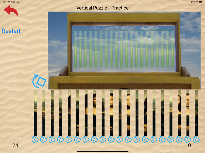 Puzzle Cluster from Survivor