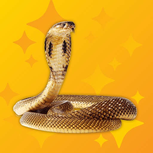 Hiss Pro - Snake Sounds icon