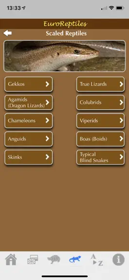 Game screenshot EuroReptiles apk