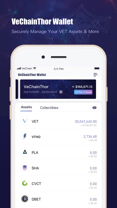 VeChainThor Screenshot
