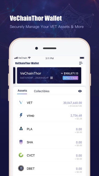 VeChainThor