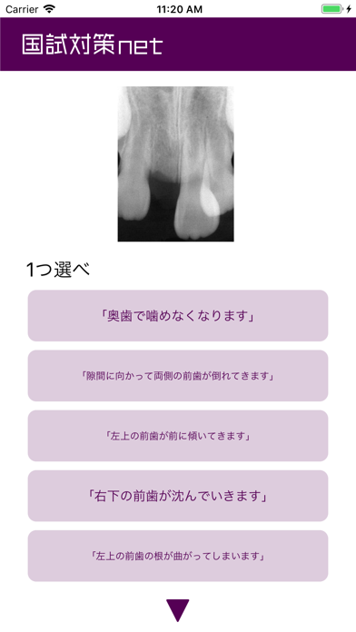 国試対策.net  歯科医師版 Screenshot