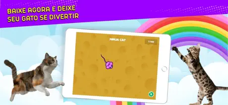 Ninja Cat: Jogos para Gatos