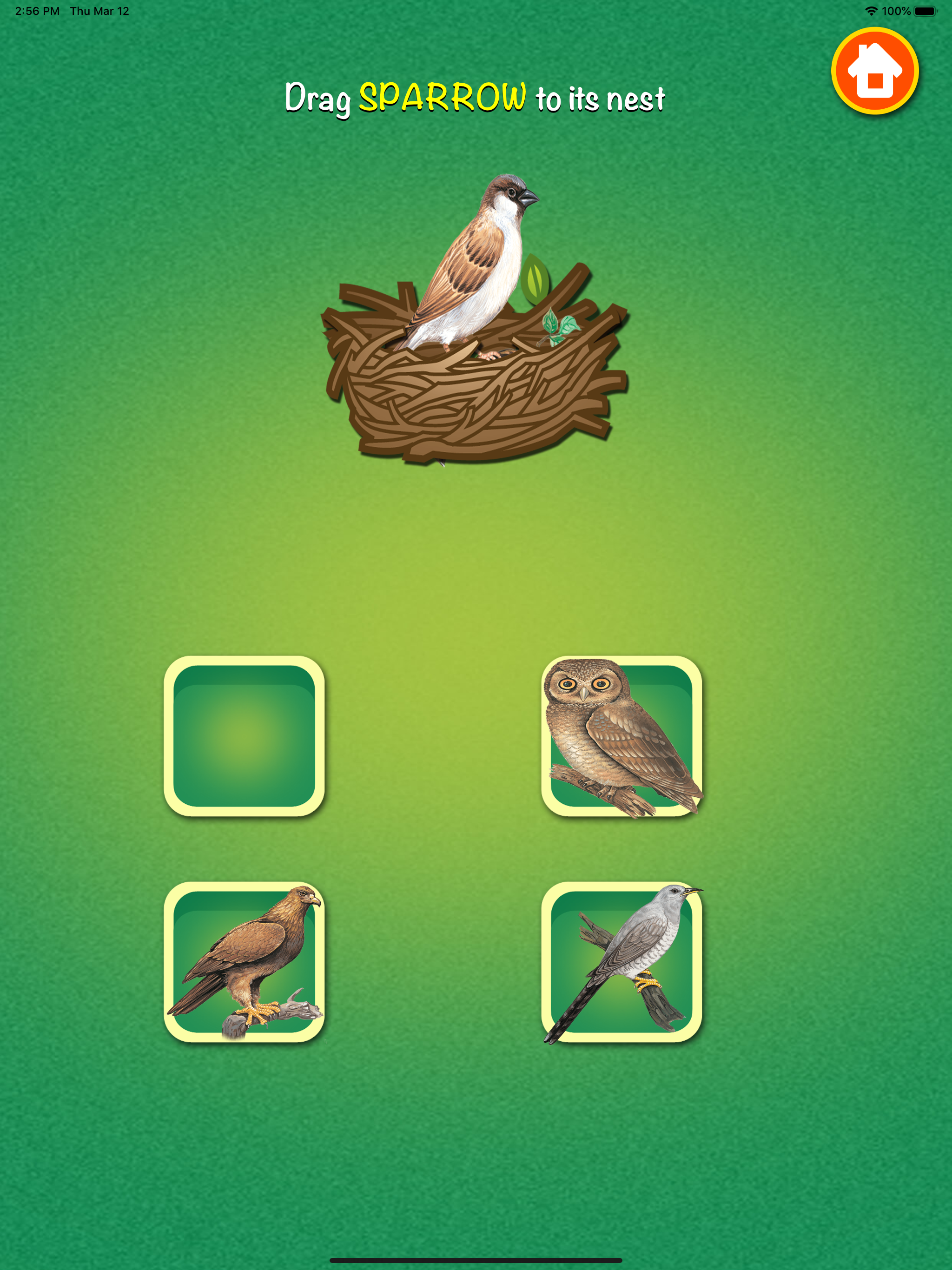 Learn about Birds