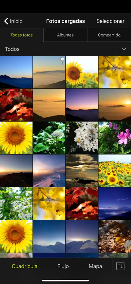 NIKON IMAGE SPACE