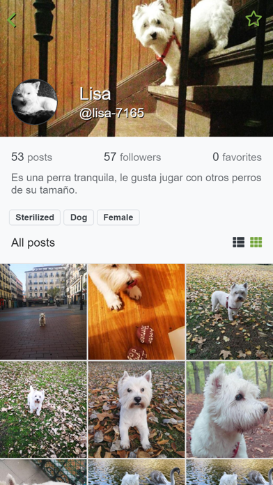 App4Pets - Pets social network Screenshot