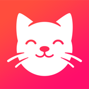 养猫联盟