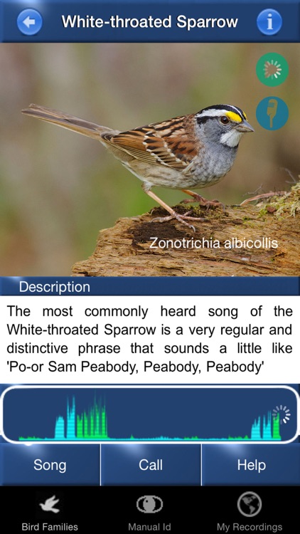 Bird Song Id USA songs & calls