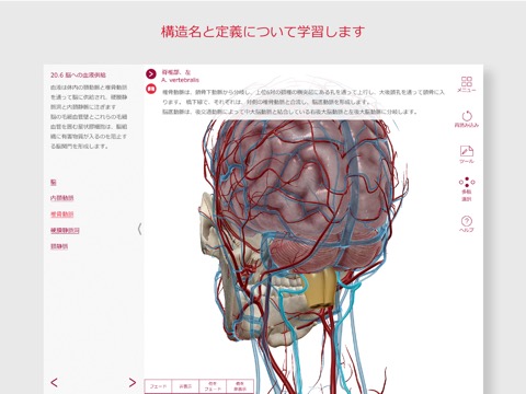 解剖学的構造と生理学のおすすめ画像4