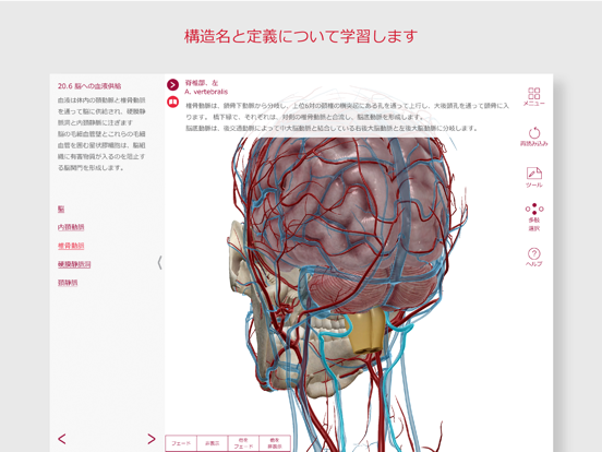 解剖学的構造と生理学のおすすめ画像4