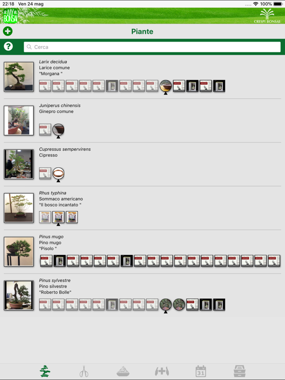 Screenshot #4 pour MyBonsai