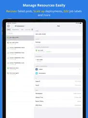 kuber - kubernetes dashboard ipad images 2