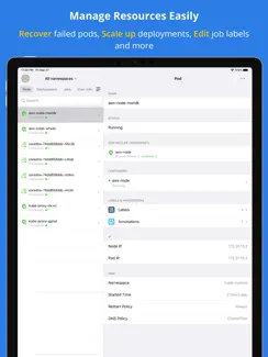 Kuber - Kubernetes Dashboard iPad image 2