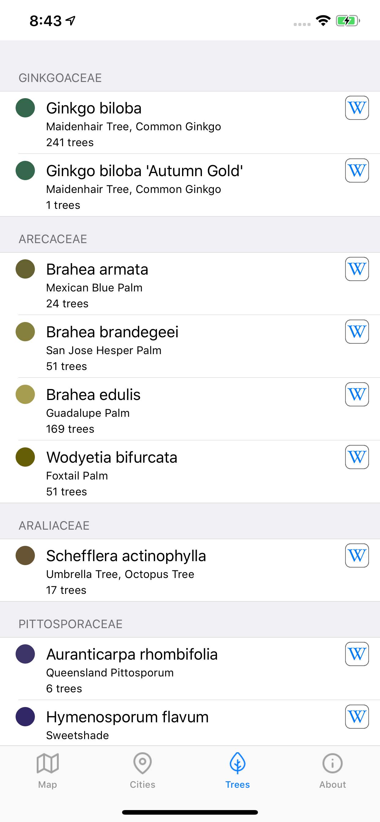 City Trees screenshot 4