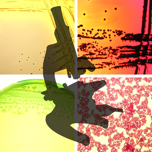 Microbiology Lab Techniques icon