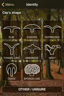 Game screenshot iFungi AU - Mushrooms ID apk