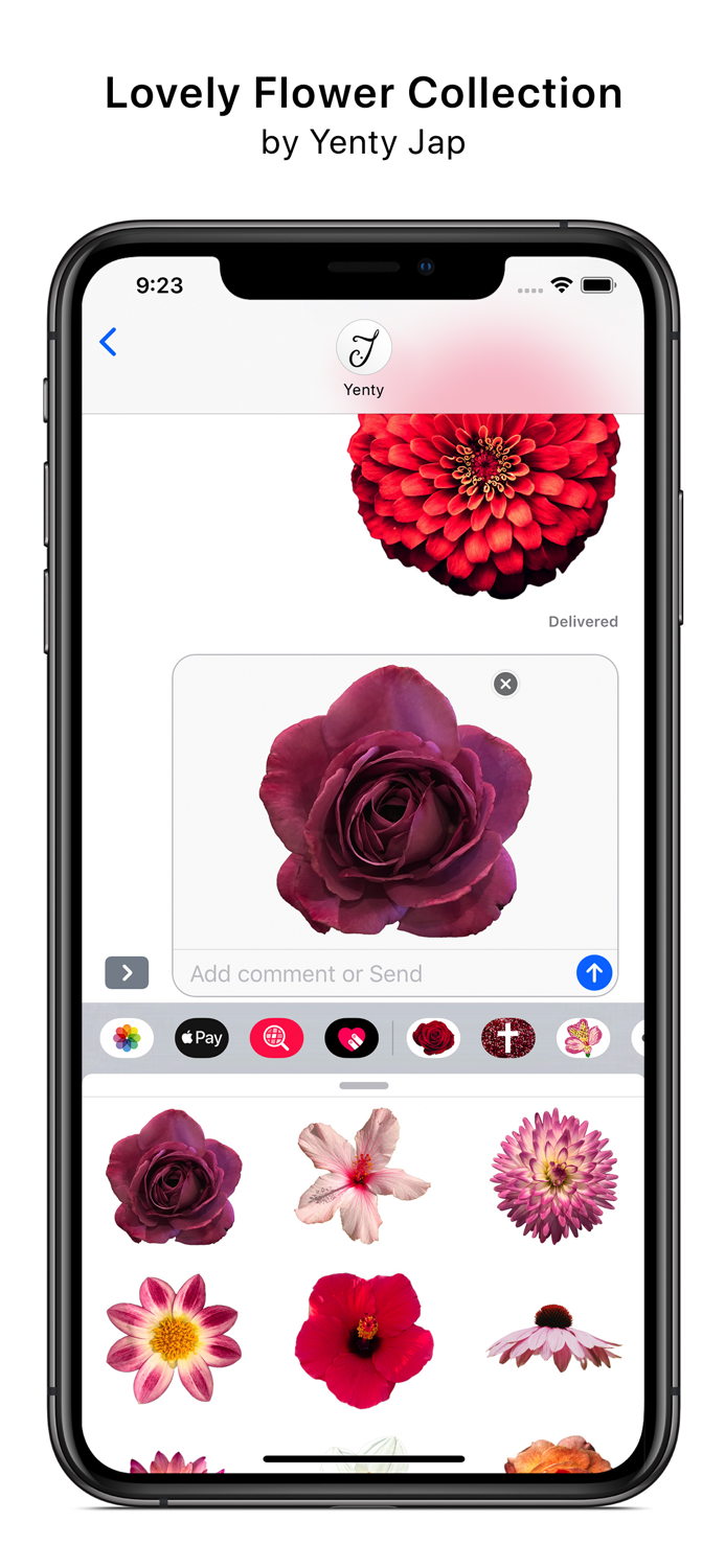 Lovely Flower Collection