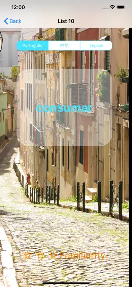 Game screenshot Advanced Portuguese Vocabulary apk