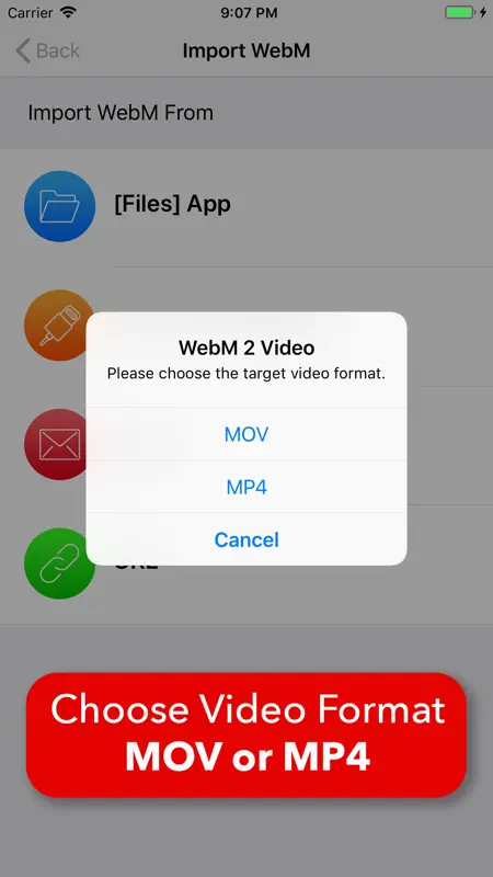 Video 2 WebM Cross Converter screenshot 10 of 10