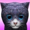 KittyZ is your most realistic virtual pet