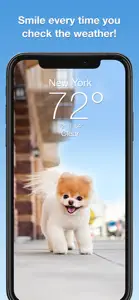 Boo Weather: Pomeranian Puppy screenshot #1 for iPhone