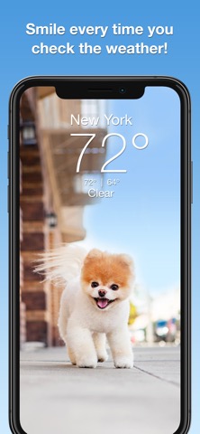 Boo Weather: Pomeranian Puppyのおすすめ画像1