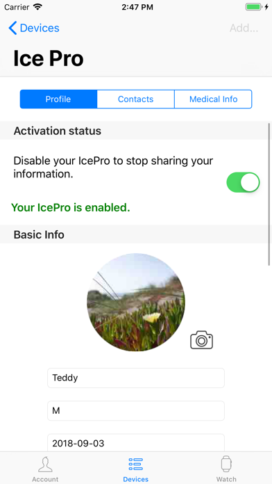 Screenshot #2 pour IcePro