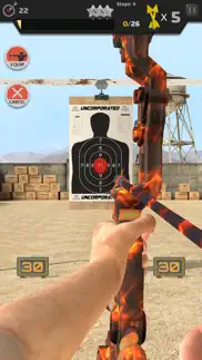arrow master: archery game iphone screenshot 2