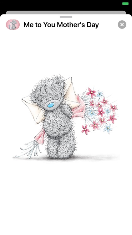 Me to You Mother's Day screenshot-3