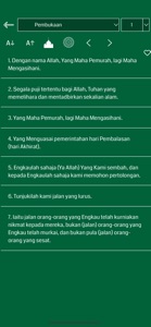 Malay Quran screenshot #3 for iPhone