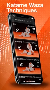Judokai screenshot