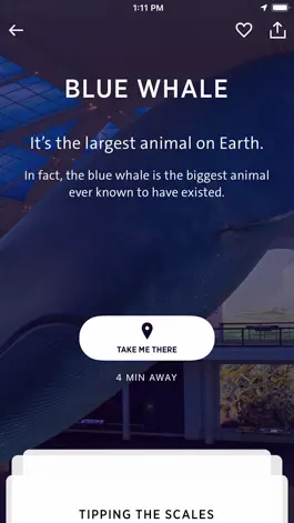 Game screenshot Explorer - AMNH NYC apk