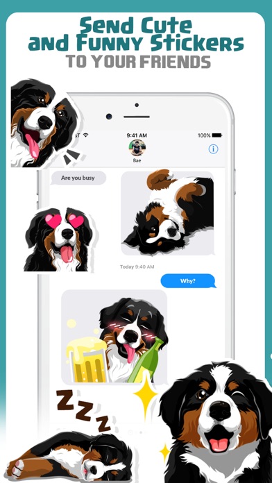 Bernese Mountain Dog Emoji Screenshot 4 - AppWisp.com Bernese Mountain Dog Emoji Screenshot 4 - AppWisp.com