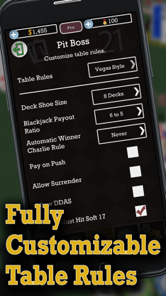 Advanced 21 Blackjack screenshot 4