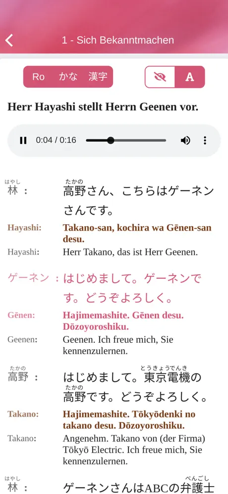 Japanisch im Sauseschritt 1