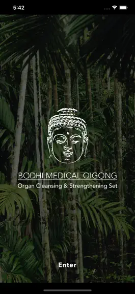 Game screenshot Bodhi Medical Qigong mod apk
