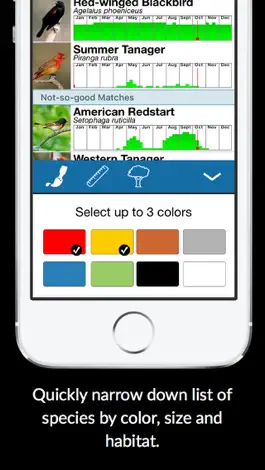 Game screenshot BirdsEye Bird Finding Guide hack
