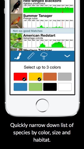BirdsEye Bird Finding Guideのおすすめ画像3