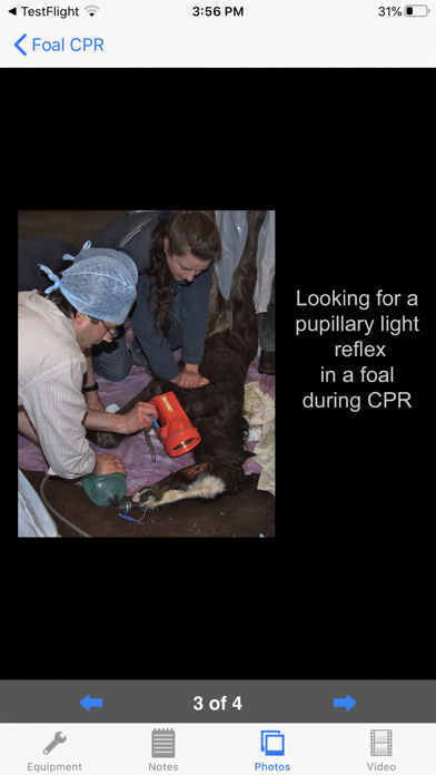 Foal CPRのおすすめ画像6