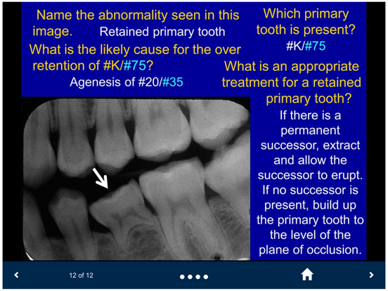 Oral Radiology - SecondLook iPad screenshot 4 - Medical app