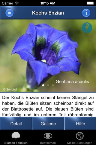 Alpenblumen Id Automatikのおすすめ画像2