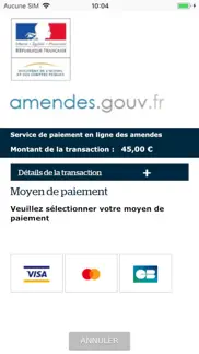 amendes.gouv iPhone Captures Décran 3