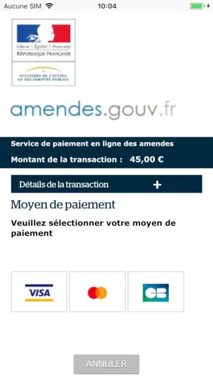 Capture d'écran de Amendes.gouv sur iPhone 3