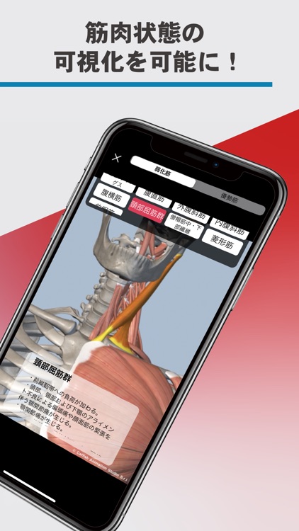 Sportip Pro/スポーティップ プロ　AI解析 screenshot-3