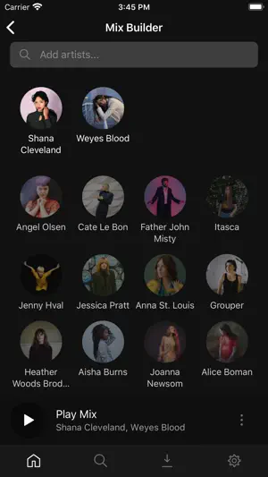 Plexamp screenshot 4
