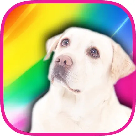 Color Zoo - Learn colors Cheats