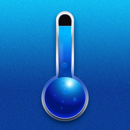 Real Thermometer Icon