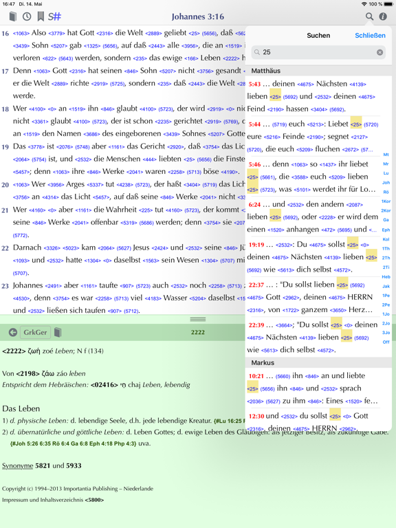 Importantia Strong-Bibel iPad screenshot